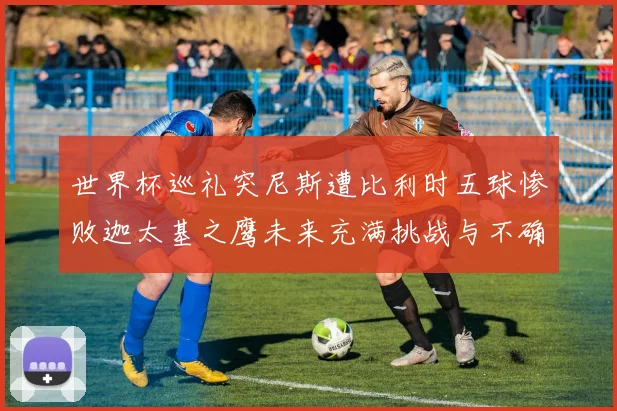 世界杯巡礼突尼斯遭比利时五球惨败迦太基之鹰未来充满挑战与不确定性