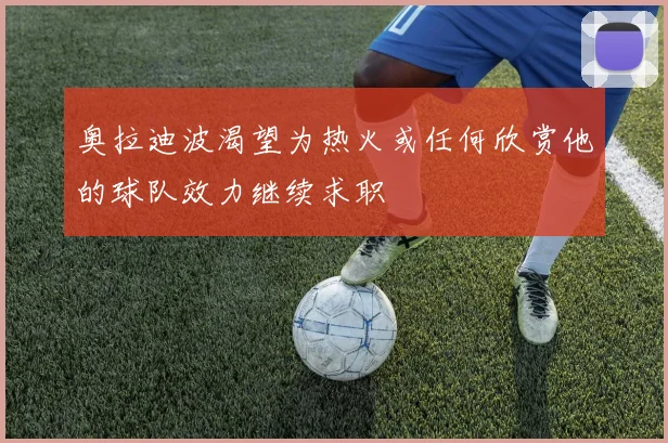 奥拉迪波渴望为热火或任何欣赏他的球队效力继续求职